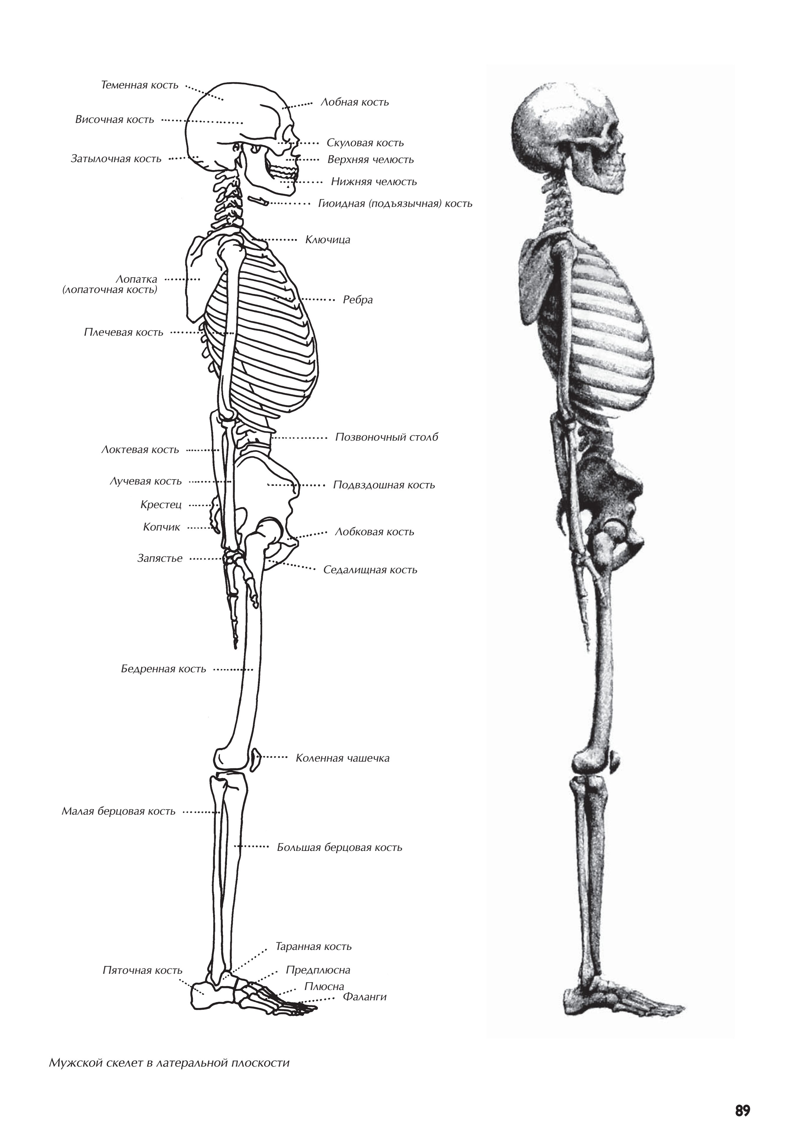 آموزش نقاشی طراحی سیاه قلم شهرری